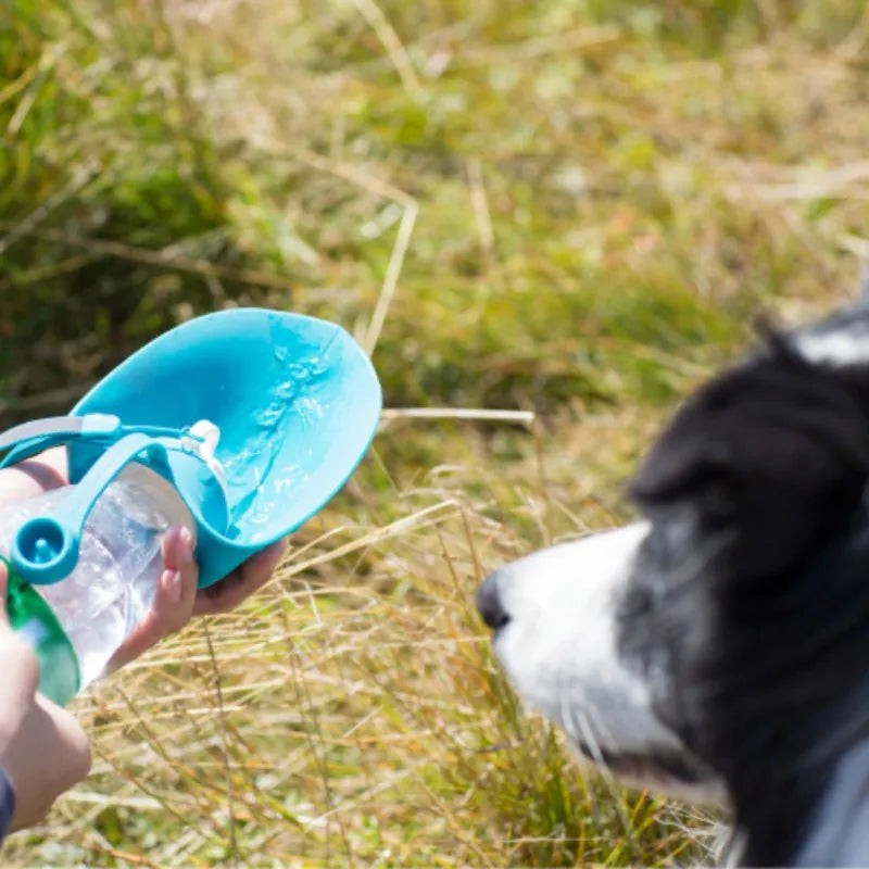 AquaPaw™ – Trinkflasche mit Napf für Hunde & Katzen | 580 ml